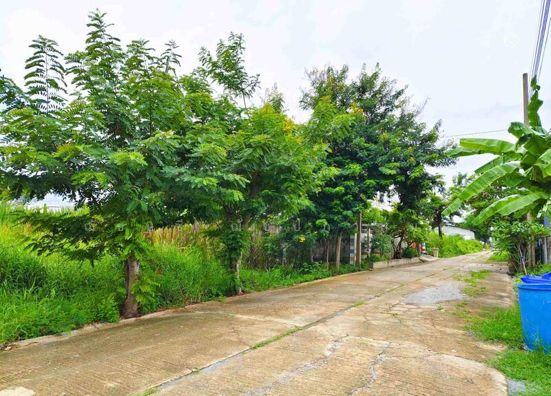 ขาย - ขายที่ดิน 3 งาน 20 ตรว. บางบัวทอง (บ้านกล้วย-ไทรน้อย) ใกล้ เซ็นทรัล เวสต์เกต, นนทบุรี