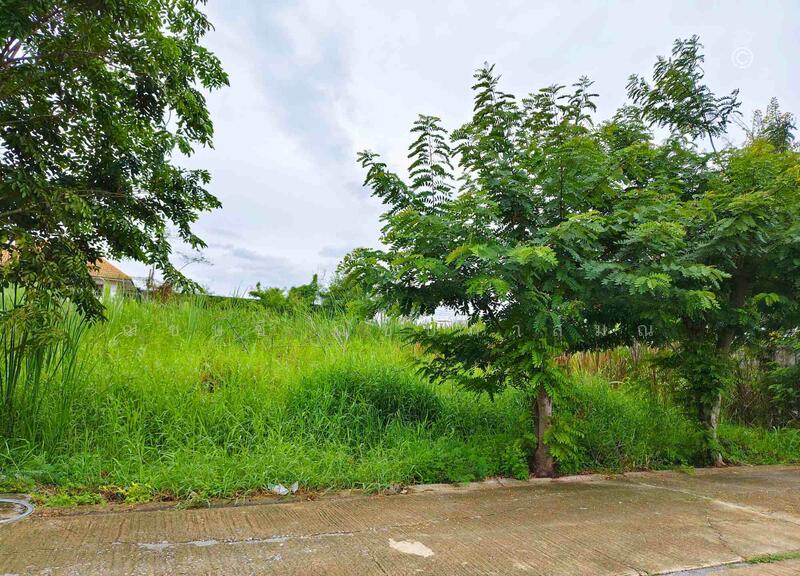 ขาย - ขายที่ดิน 3 งาน 20 ตรว. บางบัวทอง (บ้านกล้วย-ไทรน้อย) ใกล้ เซ็นทรัล เวสต์เกต, นนทบุรี