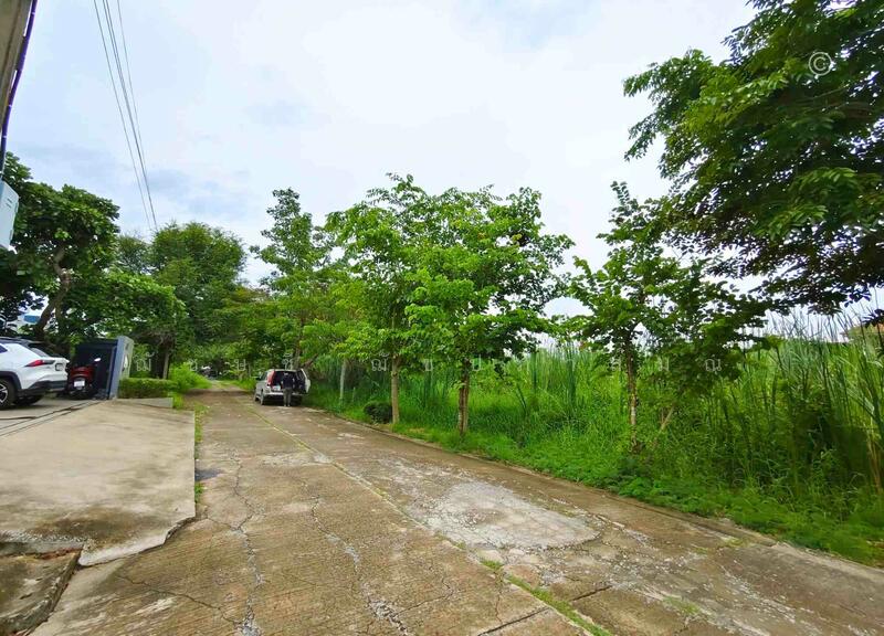 ขาย - ขายที่ดิน 3 งาน 20 ตรว. บางบัวทอง (บ้านกล้วย-ไทรน้อย) ใกล้ เซ็นทรัล เวสต์เกต, นนทบุรี