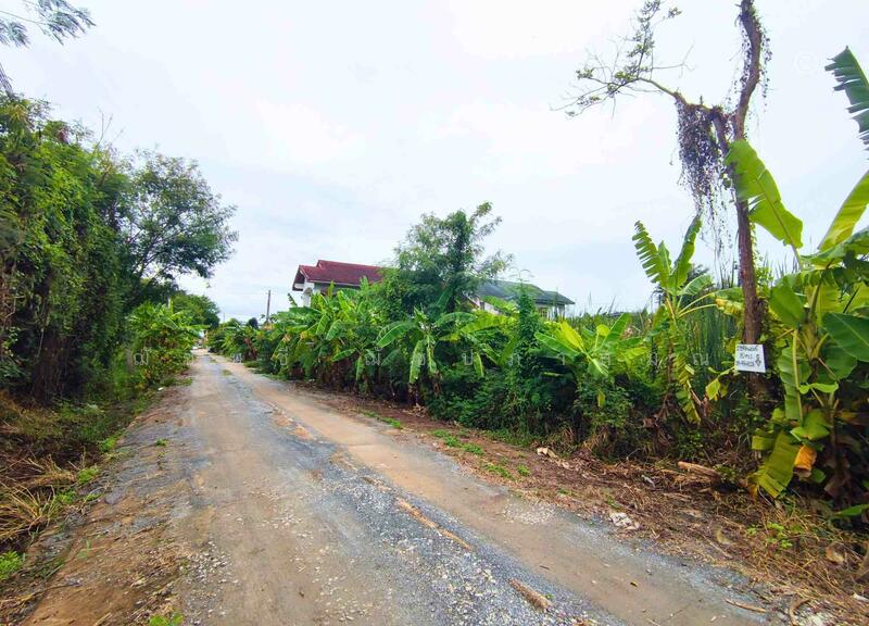 ขาย - ขายที่ดิน 3 งาน 20 ตรว. บางบัวทอง (บ้านกล้วย-ไทรน้อย) ใกล้ เซ็นทรัล เวสต์เกต, นนทบุรี