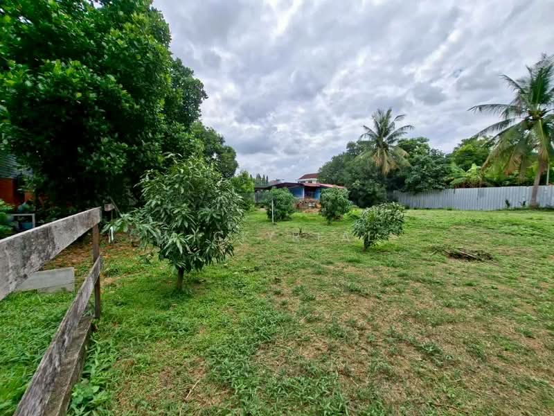 For Rent - ที่ดินให้เช่าระยะยาว แจ้งวัฒนะ–ปากเกร็ด 24 แปลงสวย ถมแล้วพร้อมใช้, Nonthaburi