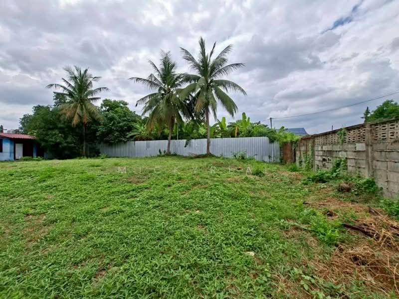 For Rent - ที่ดินให้เช่าระยะยาว แจ้งวัฒนะ–ปากเกร็ด 24 แปลงสวย ถมแล้วพร้อมใช้, Nonthaburi