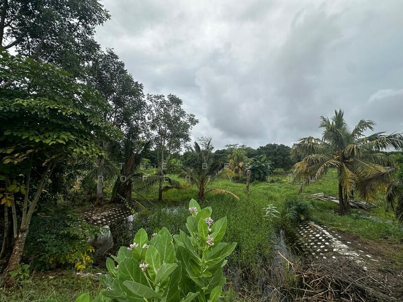 ขาย - บ้านเดี่ยวพร้อมที่ดินโป่งน้ำร้อน จันทบุรี, จันทบุรี