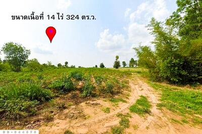 ขาย - DD-944679 ที่ดินน้ำพอง 14 ไร่ 324 ตร.ว. ขอนแก่น ใกล้เทศบาลตำบลม่วงหวาน, ขอนแก่น