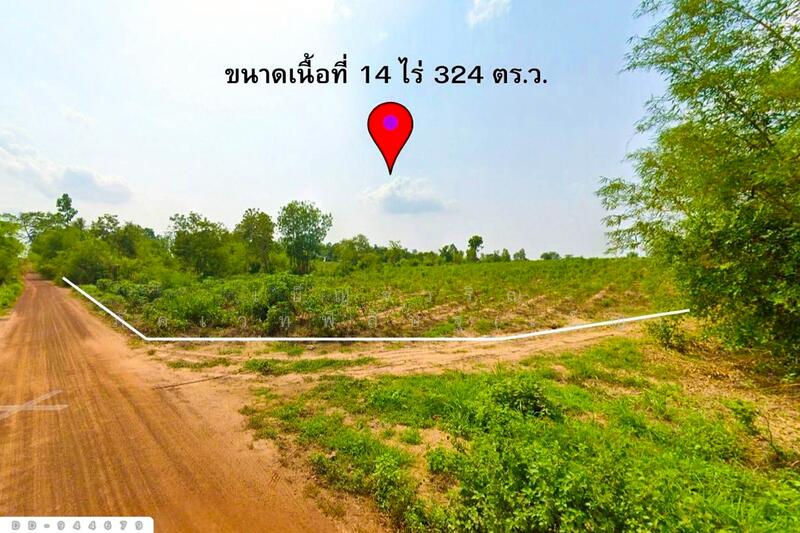 ขาย - DD-944679 ที่ดินน้ำพอง 14 ไร่ 324 ตร.ว. ขอนแก่น ใกล้เทศบาลตำบลม่วงหวาน, ขอนแก่น