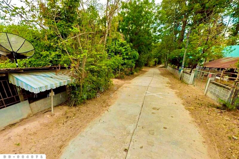 ขาย - DD-984871 ที่ดินหนองขาม 118 ตร.ว. ร้อยเอ็ด ใกล้สำนักงานเทศบาลเมืองร้อยเอ็ด, ร้อยเอ็ด