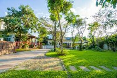 ขาย - Delight @ Scene Watcharapol-Jatuchot : ดีไลท์ แอทซีน วัชรพล-จตุโชติ, กรุงเทพ