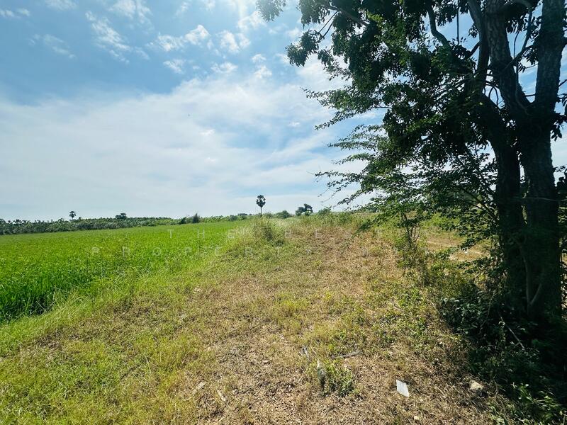 ขาย - ที่ดินสองพี่น้อง สุพรรณบุรี, สุพรรณบุรี