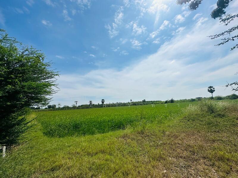 ขาย - ที่ดินสองพี่น้อง สุพรรณบุรี, สุพรรณบุรี
