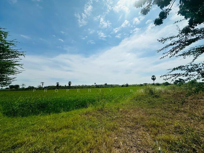 ขาย - ที่ดินสองพี่น้อง สุพรรณบุรี, สุพรรณบุรี