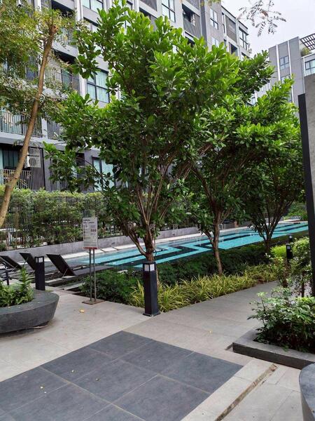 ขาย - Kensington Rayong : เคนซิงตัน ระยอง, ระยอง