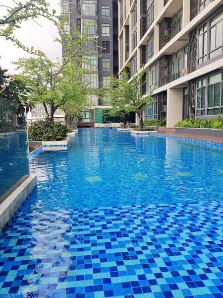ขาย - IDEO Blucove Sukhumvit : ไอดีโอ บลูโคฟ สุขุมวิท, กรุงเทพ