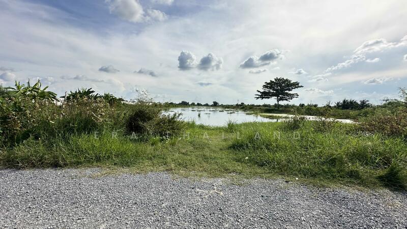 ขาย - ขายที่ดินเปล่า เนื้อที่ 23 ไร่ 1 งาน 96 ตร.ว. ใกล้นิคมอุตสาหกรรมลาดกระบัง, กรุงเทพ