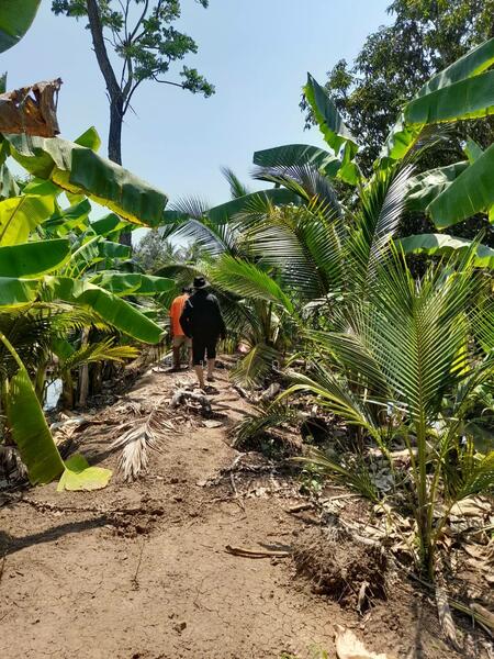 For Sale - C168-TNK217 ขายที่ดินพร้อมสวน ขนาด 8 ไร่ 2 งาน 28 ตารางวา - ใกล้รพ.ราชบุรี 5.8 กม. ถนน 4 เลนหน้าสวน, Ratchaburi