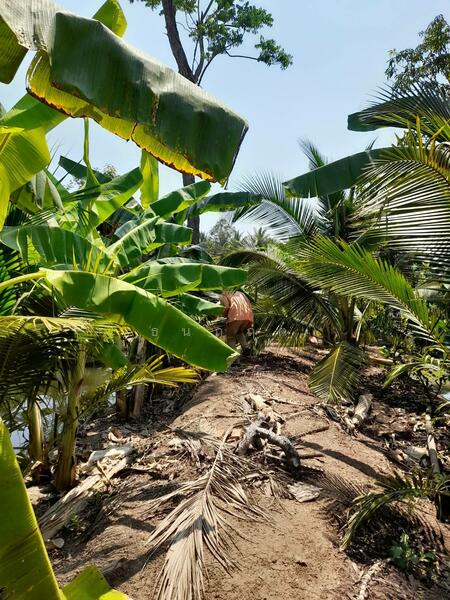 ขาย - C168-TNK217 ขายที่ดินพร้อมสวน ขนาด 8 ไร่ 2 งาน 28 ตารางวา - ใกล้รพ.ราชบุรี 5.8 กม. ถนน 4 เลนหน้าสวน, ราชบุรี