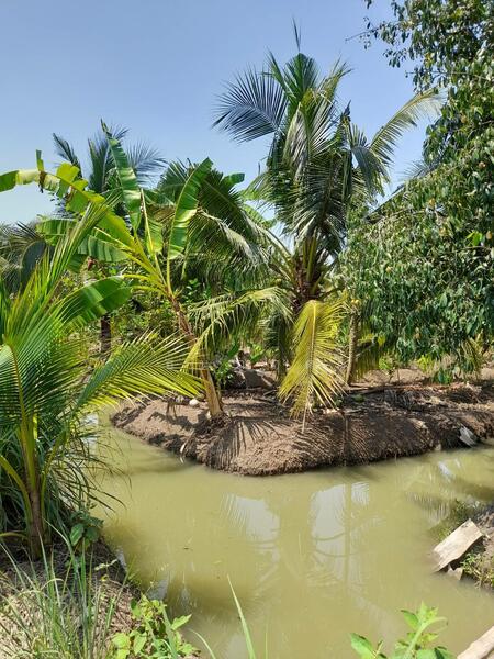 ขาย - C168-TNK217 ขายที่ดินพร้อมสวน ขนาด 8 ไร่ 2 งาน 28 ตารางวา - ใกล้รพ.ราชบุรี 5.8 กม. ถนน 4 เลนหน้าสวน, ราชบุรี