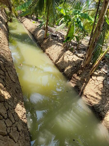 ขาย - C168-TNK217 ขายที่ดินพร้อมสวน ขนาด 8 ไร่ 2 งาน 28 ตารางวา - ใกล้รพ.ราชบุรี 5.8 กม. ถนน 4 เลนหน้าสวน, ราชบุรี