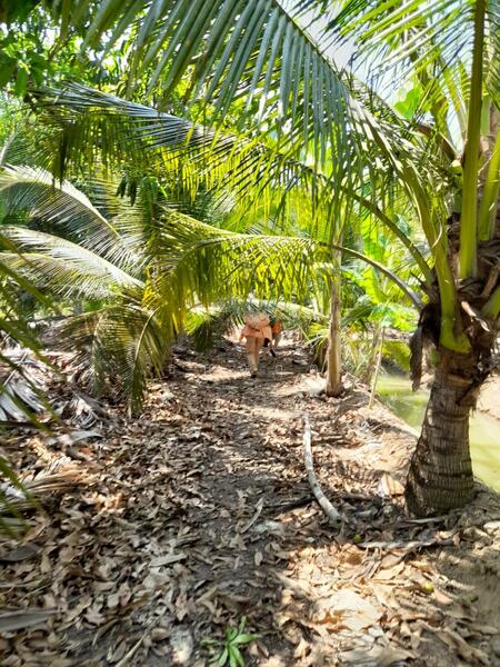 For Sale - C168-TNK217 ขายที่ดินพร้อมสวน ขนาด 8 ไร่ 2 งาน 28 ตารางวา - ใกล้รพ.ราชบุรี 5.8 กม. ถนน 4 เลนหน้าสวน, Ratchaburi