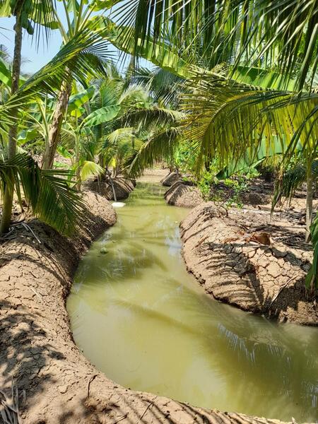 ขาย - C168-TNK217 ขายที่ดินพร้อมสวน ขนาด 8 ไร่ 2 งาน 28 ตารางวา - ใกล้รพ.ราชบุรี 5.8 กม. ถนน 4 เลนหน้าสวน, ราชบุรี