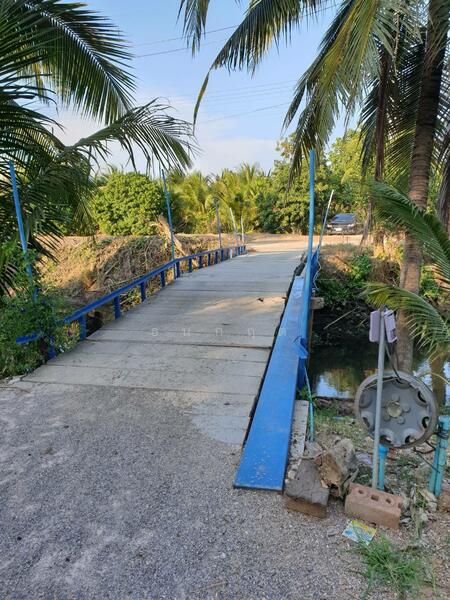 For Sale - C168-TNK217 ขายที่ดินพร้อมสวน ขนาด 8 ไร่ 2 งาน 28 ตารางวา - ใกล้รพ.ราชบุรี 5.8 กม. ถนน 4 เลนหน้าสวน, Ratchaburi