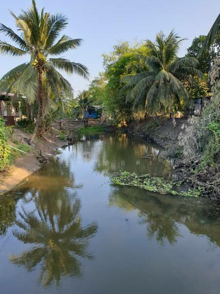 For Sale - C168-TNK217 ขายที่ดินพร้อมสวน ขนาด 8 ไร่ 2 งาน 28 ตารางวา - ใกล้รพ.ราชบุรี 5.8 กม. ถนน 4 เลนหน้าสวน, Ratchaburi