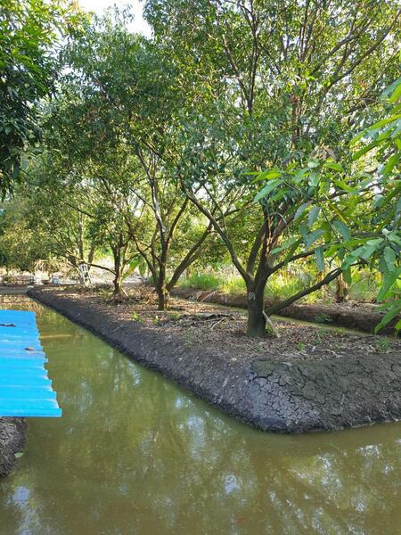 For Sale - C168-TNK217 ขายที่ดินพร้อมสวน ขนาด 8 ไร่ 2 งาน 28 ตารางวา - ใกล้รพ.ราชบุรี 5.8 กม. ถนน 4 เลนหน้าสวน, Ratchaburi