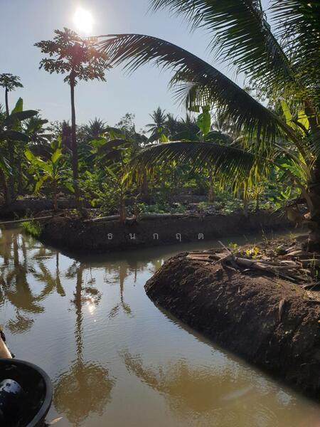 ขาย - C168-TNK217 ขายที่ดินพร้อมสวน ขนาด 8 ไร่ 2 งาน 28 ตารางวา - ใกล้รพ.ราชบุรี 5.8 กม. ถนน 4 เลนหน้าสวน, ราชบุรี