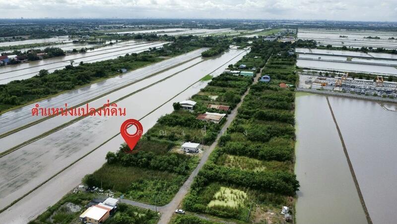 ขาย - ขายที่ดินถูกราคาเกินคุ้ม !! ที่ดิน 4 แปลงใหญ่ 241.6 ตร.วา ทำเลหนองจอกคลองสิบ เหมาะลงทุน, กรุงเทพ