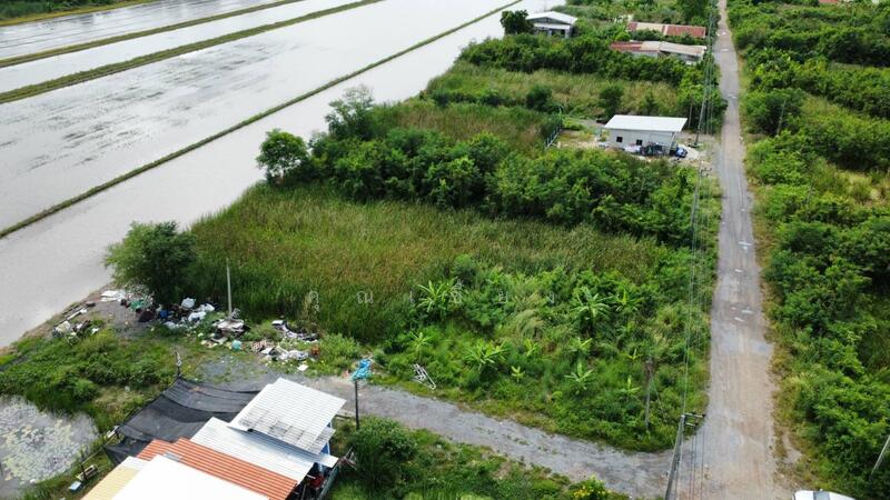 ขาย - ขายที่ดินถูกราคาเกินคุ้ม !! ที่ดิน 4 แปลงใหญ่ 241.6 ตร.วา ทำเลหนองจอกคลองสิบ เหมาะลงทุน, กรุงเทพ