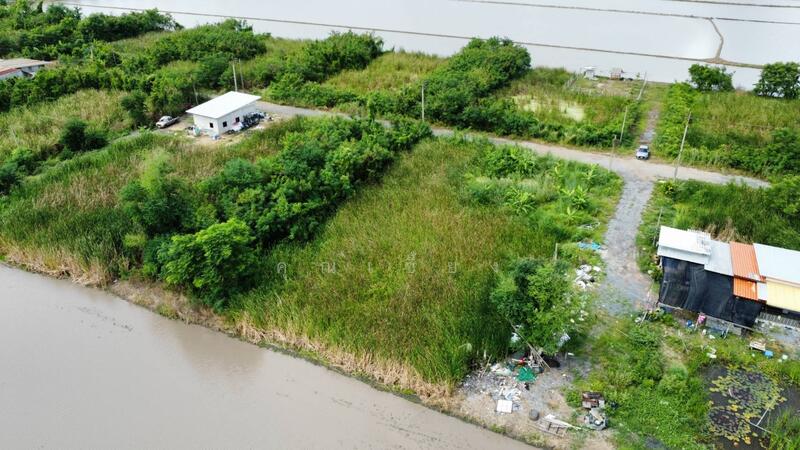 ขาย - ขายที่ดินถูกราคาเกินคุ้ม !! ที่ดิน 4 แปลงใหญ่ 241.6 ตร.วา ทำเลหนองจอกคลองสิบ เหมาะลงทุน, กรุงเทพ