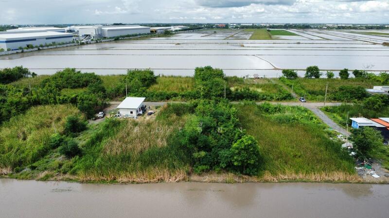 ขาย - ขายที่ดินถูกราคาเกินคุ้ม !! ที่ดิน 4 แปลงใหญ่ 241.6 ตร.วา ทำเลหนองจอกคลองสิบ เหมาะลงทุน, กรุงเทพ