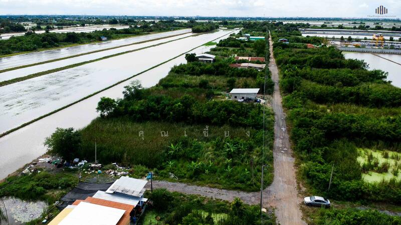 ขาย - ขายที่ดินถูกราคาเกินคุ้ม !! ที่ดิน 4 แปลงใหญ่ 241.6 ตร.วา ทำเลหนองจอกคลองสิบ เหมาะลงทุน, กรุงเทพ