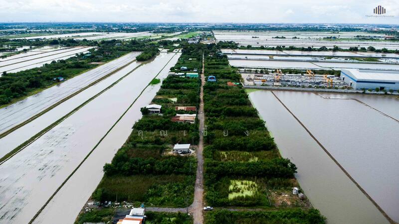 ขาย - ขายที่ดินถูกราคาเกินคุ้ม !! ที่ดิน 4 แปลงใหญ่ 241.6 ตร.วา ทำเลหนองจอกคลองสิบ เหมาะลงทุน, กรุงเทพ