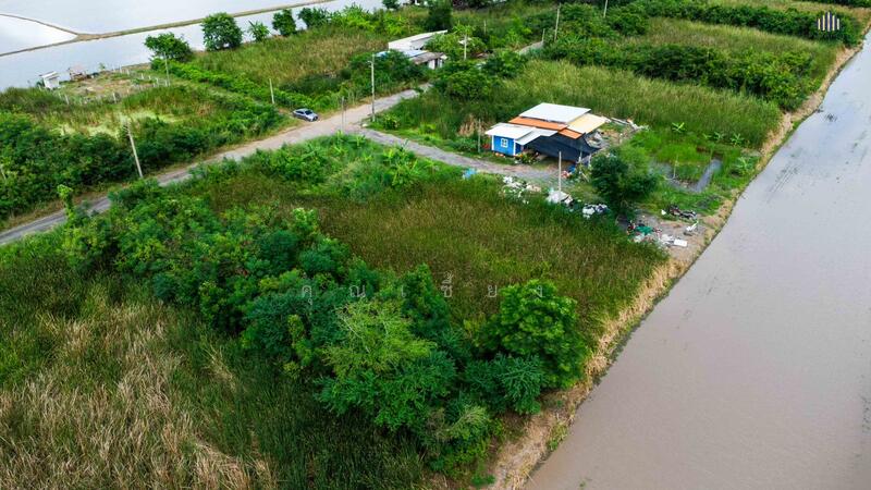 ขาย - ขายที่ดินถูกราคาเกินคุ้ม !! ที่ดิน 4 แปลงใหญ่ 241.6 ตร.วา ทำเลหนองจอกคลองสิบ เหมาะลงทุน, กรุงเทพ