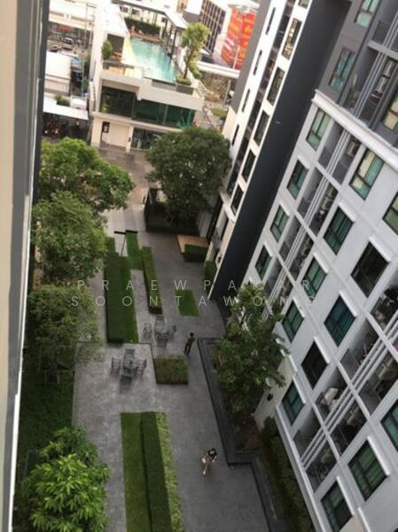 For Rent - Notting Hill Sukhumvit 105, Bangkok
