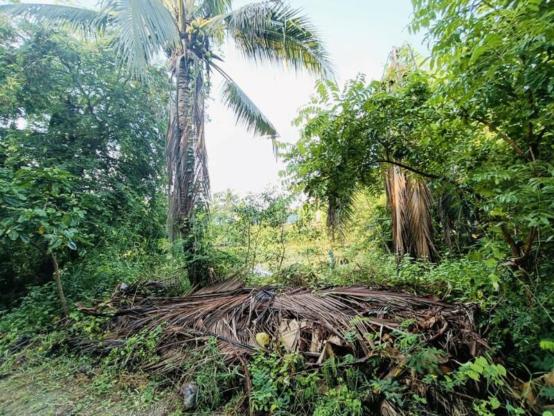 For Sale - ที่ดินพร้อมสิ่งปลูกสร้างมหาชัย สมุทรสาคร, Samut Sakhon