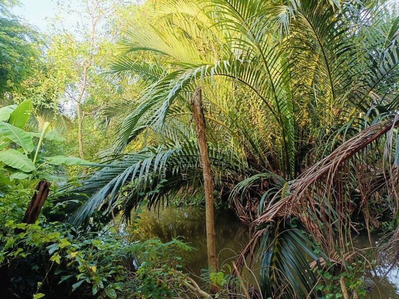 ขาย - ที่ดินพร้อมสิ่งปลูกสร้างมหาชัย สมุทรสาคร, สมุทรสาคร