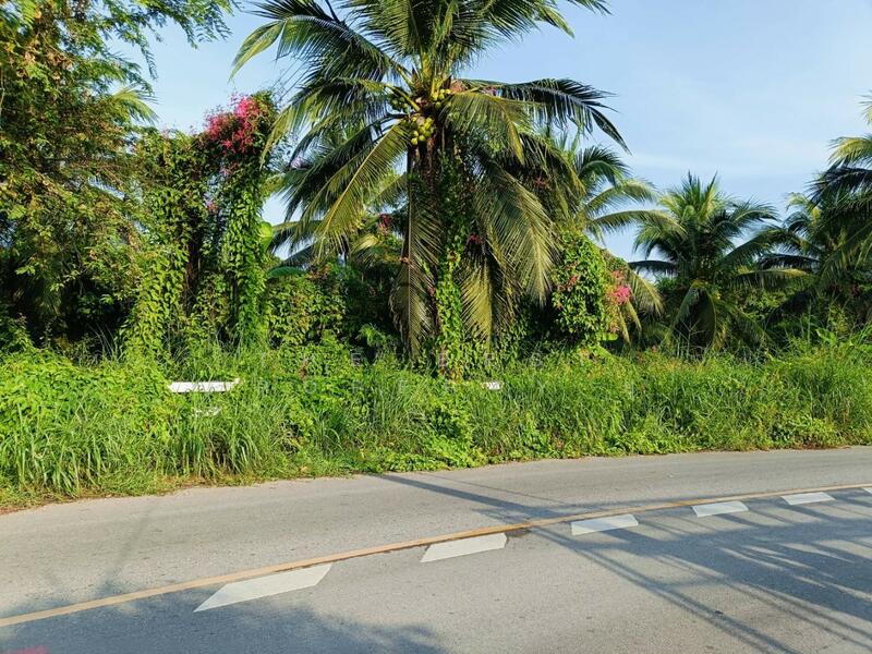 For Sale - ที่ดินพร้อมสิ่งปลูกสร้างมหาชัย สมุทรสาคร, Samut Sakhon