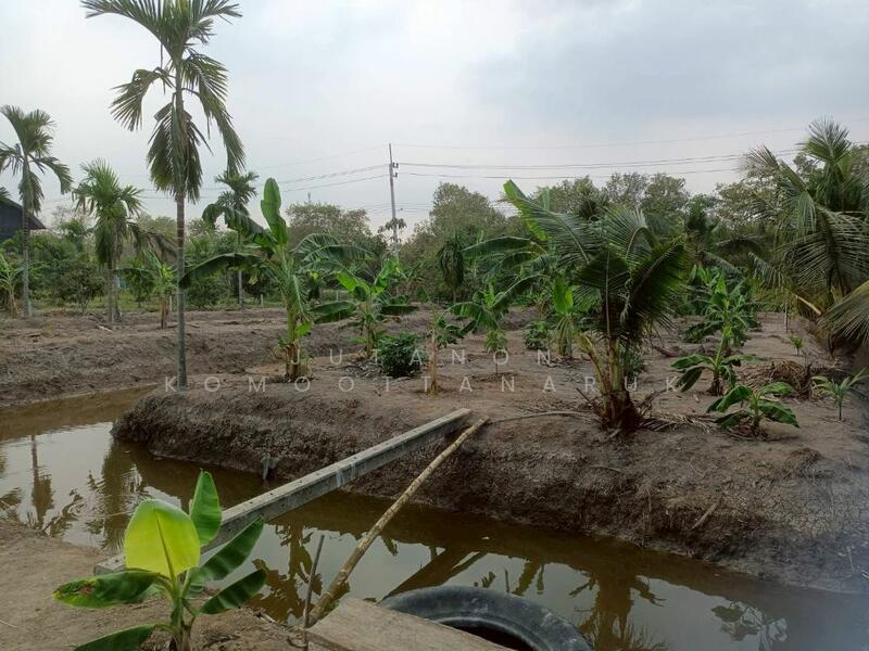 ขาย - ขายที่ดินเปล่า 4 ไร่ 27 ตร.วา ติดคลอง บรรยากาศดี เหมาะสร้างบ้านสวน ทำเกษตร อ.เมือง จ.ฉะเชิงเทรา, ฉะเชิงเทรา