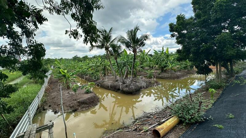 ขาย - ขายที่ดินเปล่า 4 ไร่ 27 ตร.วา ติดคลอง บรรยากาศดี เหมาะสร้างบ้านสวน ทำเกษตร อ.เมือง จ.ฉะเชิงเทรา, ฉะเชิงเทรา