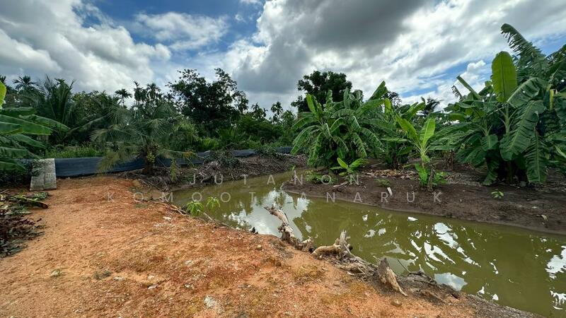 ขาย - ขายที่ดินเปล่า 4 ไร่ 27 ตร.วา ติดคลอง บรรยากาศดี เหมาะสร้างบ้านสวน ทำเกษตร อ.เมือง จ.ฉะเชิงเทรา, ฉะเชิงเทรา