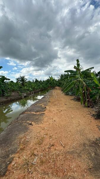 ขาย - ขายที่ดินเปล่า 4 ไร่ 27 ตร.วา ติดคลอง บรรยากาศดี เหมาะสร้างบ้านสวน ทำเกษตร อ.เมือง จ.ฉะเชิงเทรา, ฉะเชิงเทรา