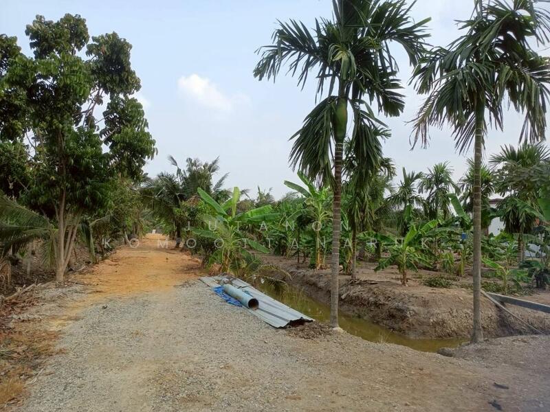 ขาย - ขายที่ดินเปล่า 4 ไร่ 27 ตร.วา ติดคลอง บรรยากาศดี เหมาะสร้างบ้านสวน ทำเกษตร อ.เมือง จ.ฉะเชิงเทรา, ฉะเชิงเทรา