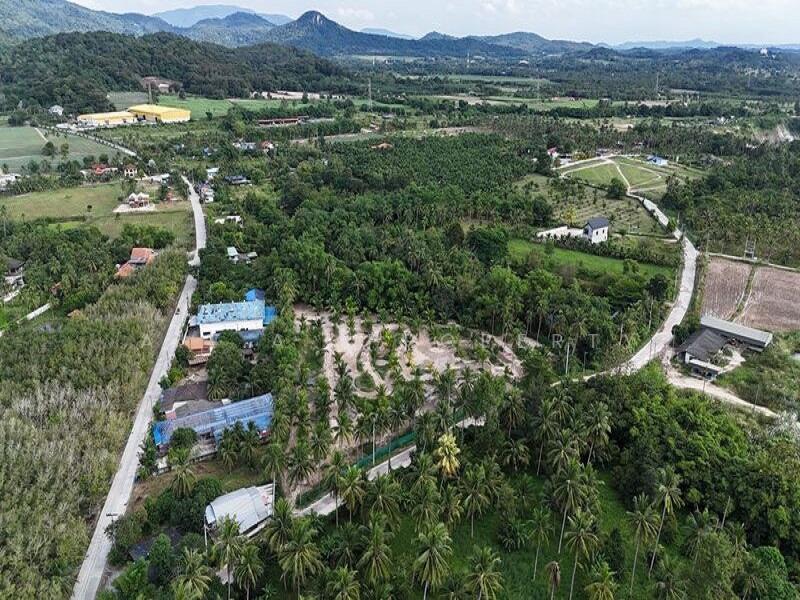 ขาย - ที่ดิน บ้านห้วยกุ่ม บางพระ ศรีราชา, ชลบุรี