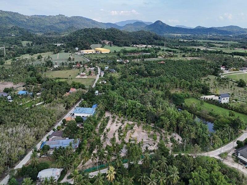 ขาย - ที่ดิน บ้านห้วยกุ่ม บางพระ ศรีราชา, ชลบุรี