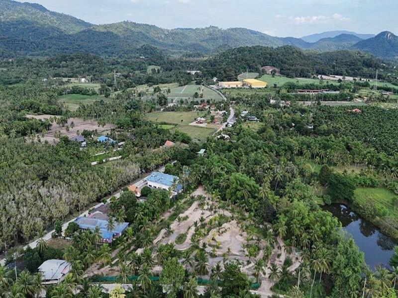 ขาย - ที่ดิน บ้านห้วยกุ่ม บางพระ ศรีราชา, ชลบุรี