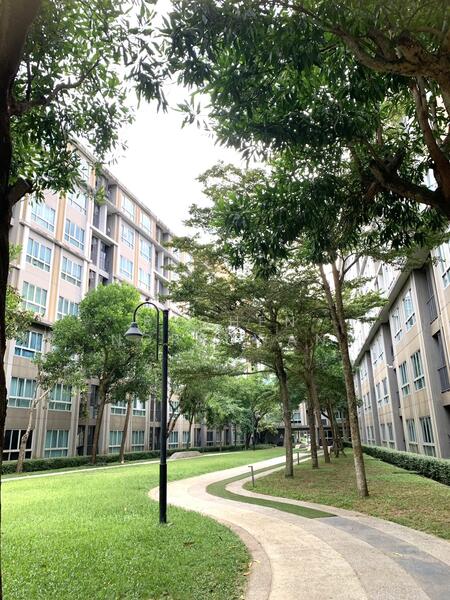 For Sale - Dcondo Karnjanavanich Hatyai, Songkhla