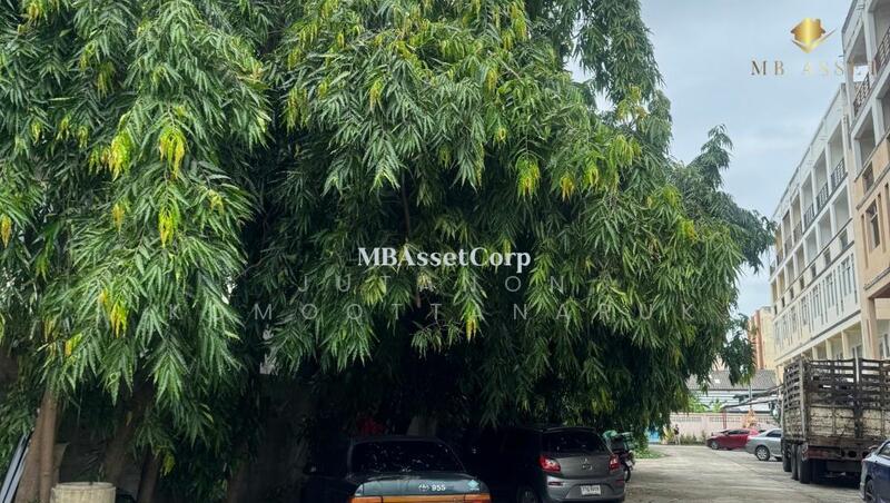 For Sale - ขายอาคารพาณิชย์ใหม่ 4 ชั้นครึ่ง (มีชั้นลอย) ติดถนนเศรษฐกิจ 1 – คลองมะเดื่อ อำเภอกระทุ่มแบน, Samut Sakhon