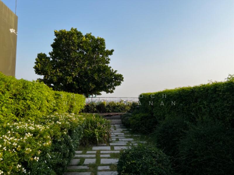 ขาย - Chambers Chaan Ladprao-Wanghin : แชมเบอร์ส ชาน ลาดพร้าว - วังหิน, กรุงเทพ