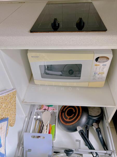 ให้เช่า - My Condo Sukhumvit 81 : มายคอนโด สุขุมวิท81, กรุงเทพ